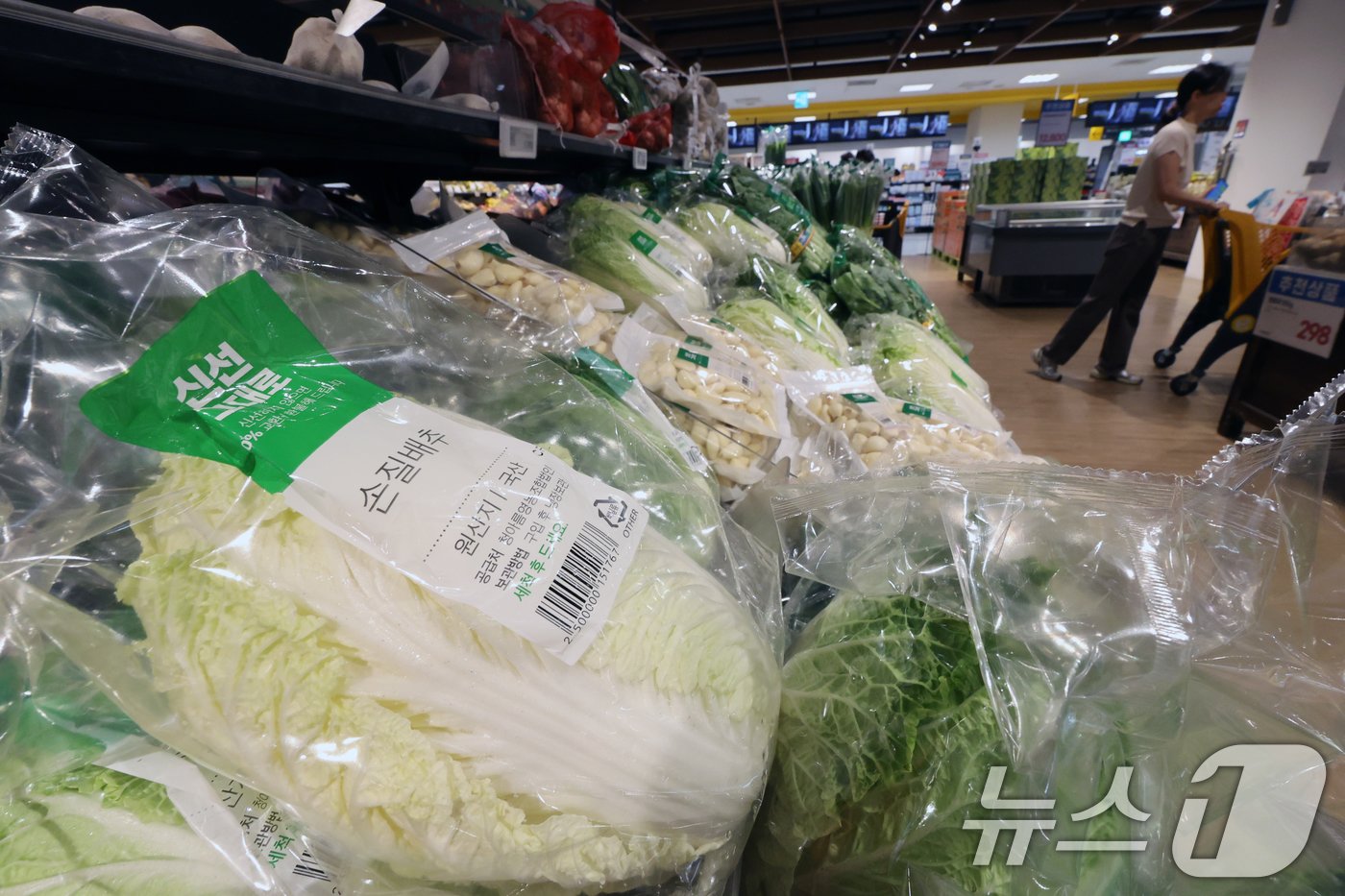 본문 이미지 - 배춧값이 가파르게 오르고 있는 25일 서울 시내 한 마트에서 시민들이 배추를 고르고 있다. 2024.9.25/뉴스1 ⓒ News1 황기선 기자