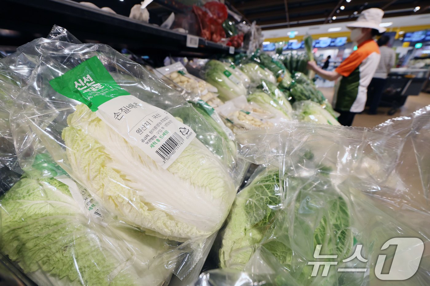 본문 이미지 - 서울 시내 한 마트에서 판매하는 배추. 2024.9.25/뉴스1 ⓒ News1 황기선 기자