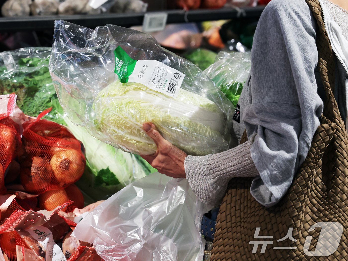 본문 이미지 - 배춧값이 가파르게 오르고 있는 25일 서울 시내 한 마트에서 시민들이 배추를 고르고 있다. 정부는 배춧값 안정을 위해 오는 27일부터 중국산 배추 초도물량 16톤을 국내에 들여올 예정이다. 정부 차원의 배추 수입은 지난 2010년(162톤), 2011년(1811톤), 2012년(659톤), 2022년(1507톤)에 이어 이번이 다섯 번째다. 2024.9.25/뉴스1 ⓒ News1 황기선 기자