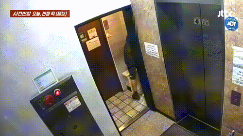 본문 이미지 - (JTBC '사건반장' 갈무리)