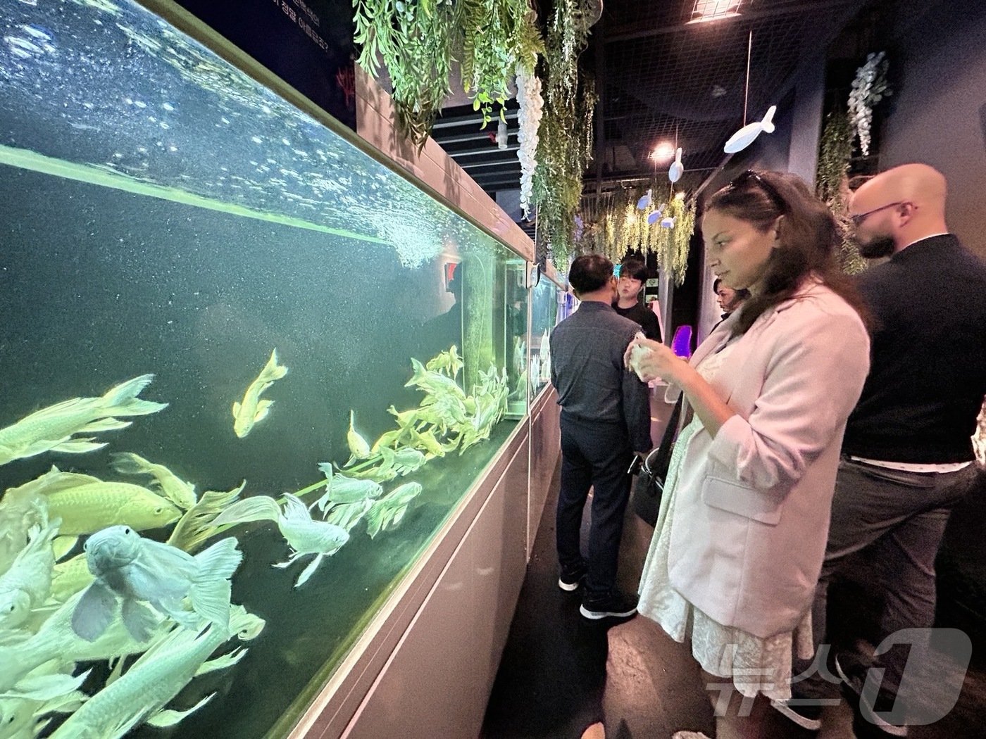 본문 이미지 - 불가리아 기자협회 관계자들이 수산공원을 방문해 수족관을 살펴보고 있다. / 뉴스1