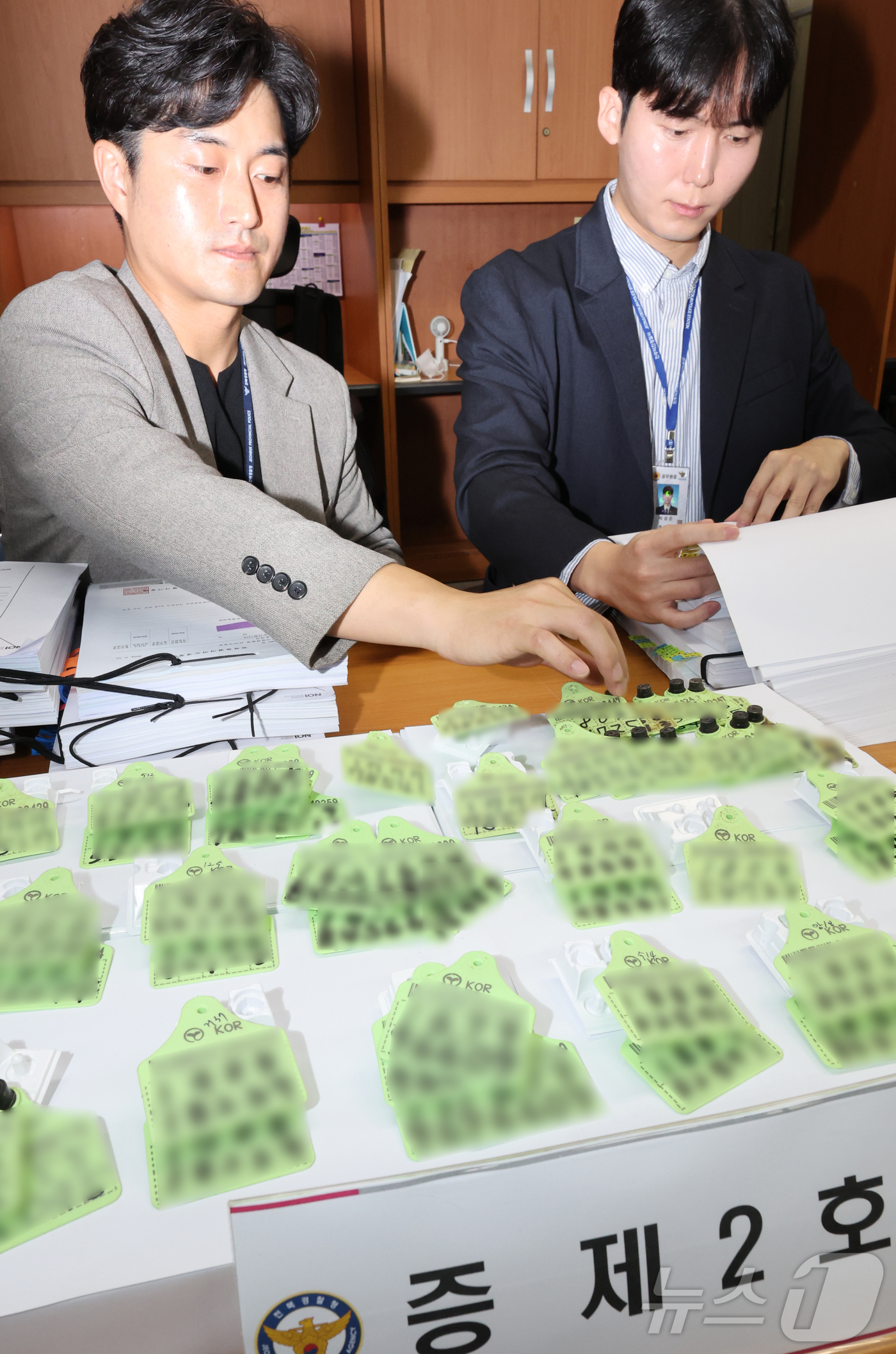 (전주=뉴스1) 유경석 기자 = 전북경찰청 형사기동대 관계자들이 26일 전북자치도 전주시 전북경찰청에서 보험사기방지법위반 축산업자 검거 관련 브리핑에 앞서 압수품을 정리하고 있다. …