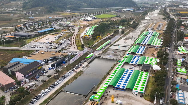 대한민국 대표 건강잔치 '경북 영주 풍기인삼 축제'…10월5~13일