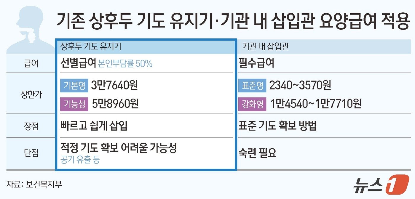 본문 이미지 - ⓒ News1 김초희 디자이너