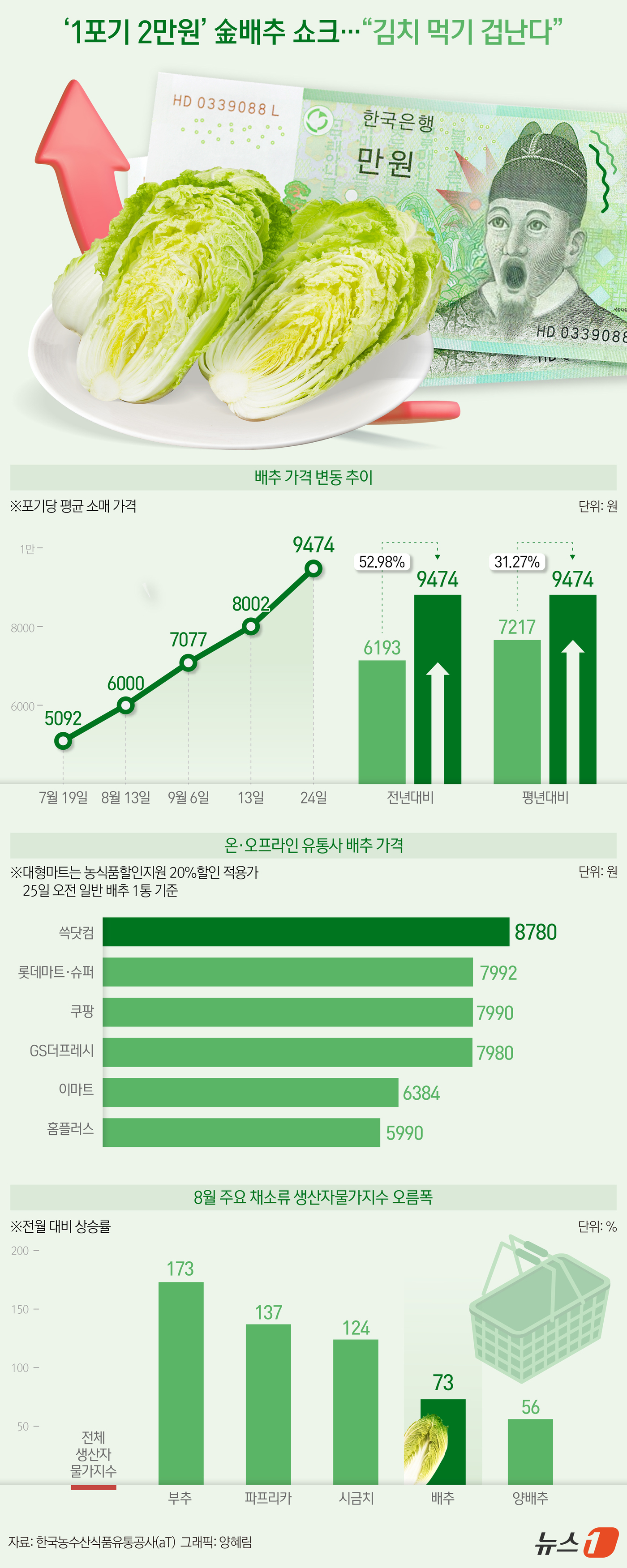 (서울=뉴스1) 양혜림 디자이너 = 일부 시중 마트에서 판매하는 배추 가격이 포기당 2만 원을 넘어서는 등 배춧값이 가파르게 치솟자 정부가 중국산 배추 수입, 할인지원 등을 통해 …