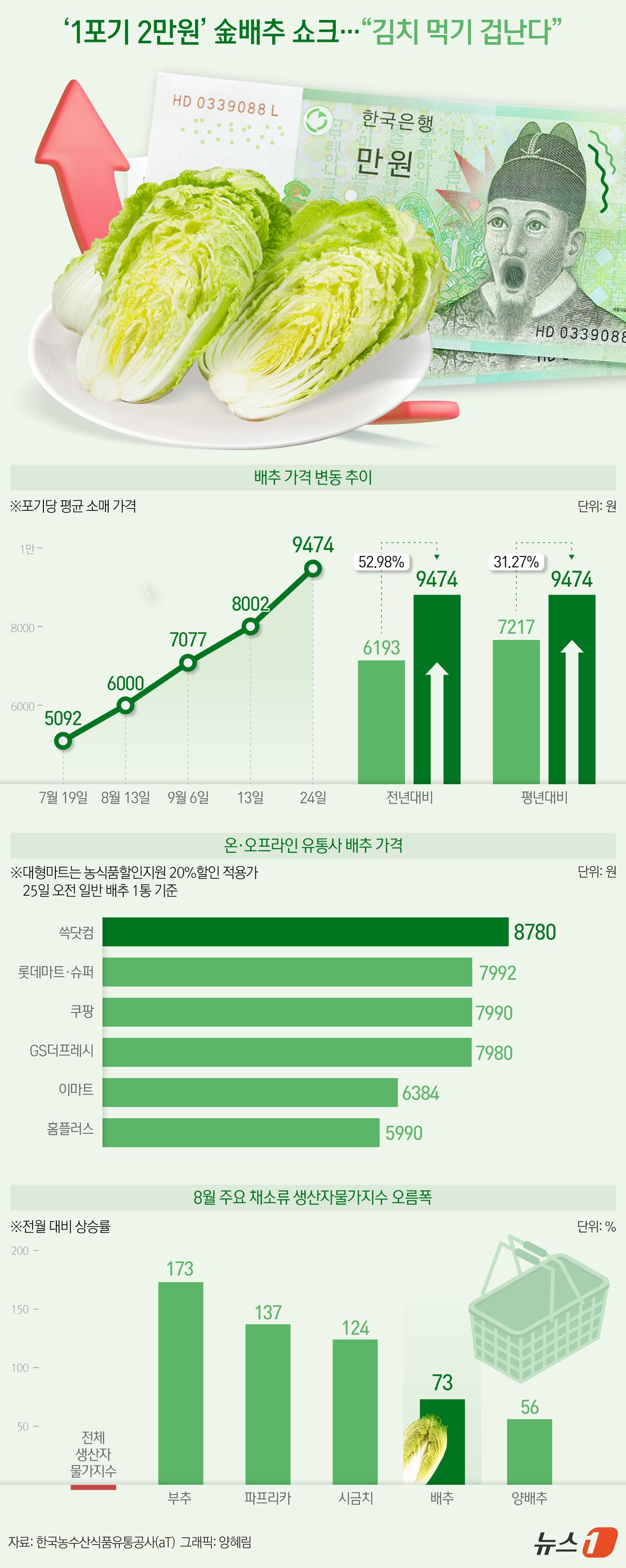 본문 이미지 - 일부 시중 마트에서 판매하는 배추 가격이 포기당 2만 원을 넘어서는 등 배춧값이 가파르게 치솟자 정부가 중국산 배추 수입, 할인지원 등을 통해 가격 잡기에 나섰다. ⓒ News1 양혜림 디자이너