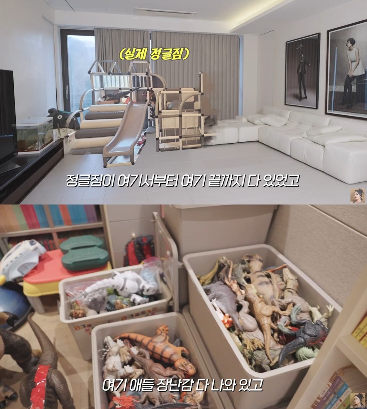 본문 이미지 - 유튜브 채널 '자유부인 한가인' 영상 갈무리