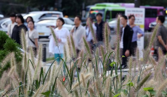 [오늘의 날씨]전북(28일, 토)…구름 많고 일교차 커