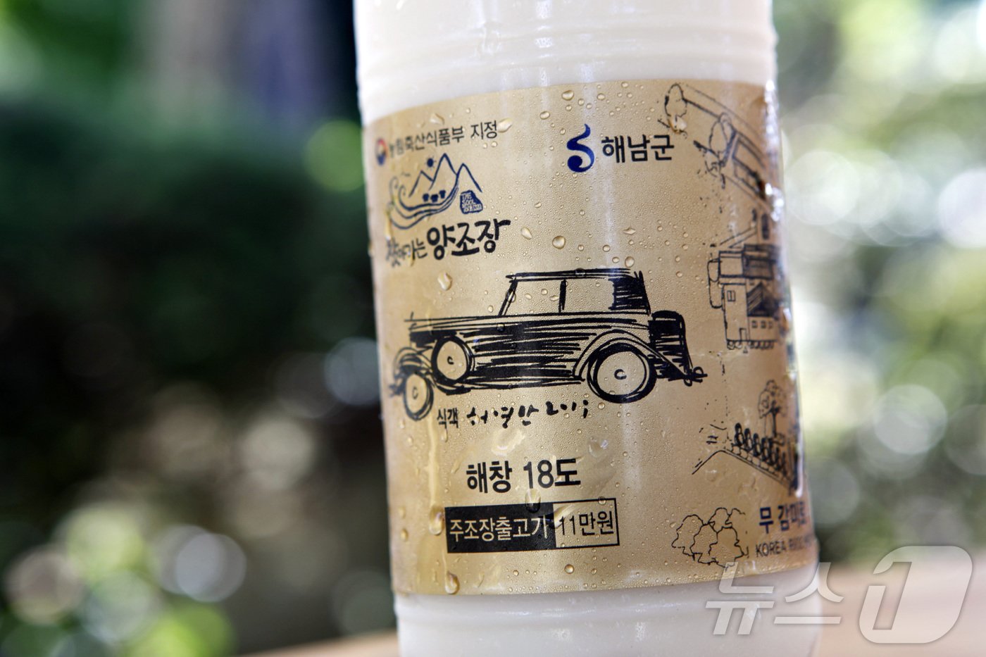 본문 이미지 - 허영만 만화가가 그린 해창18도 라벨의 롤스로이스 그림_박상준 촬영