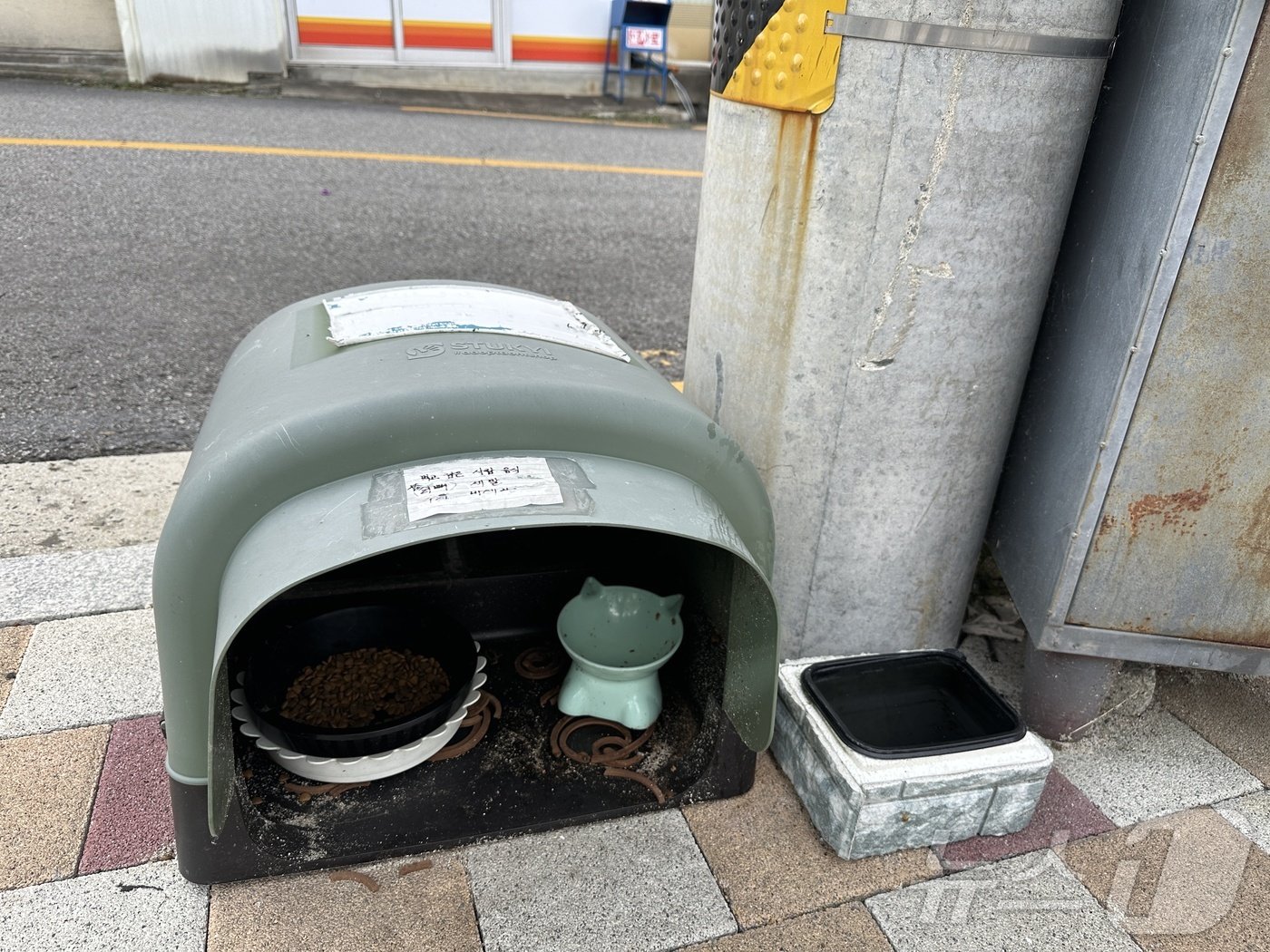 본문 이미지 -  길고양이 급식소./뉴스1