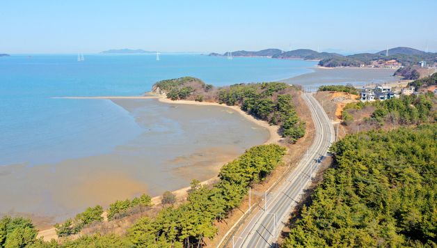 안산시, 대부동 녹지지역 건폐율 상향 '성장관리계획 주민 열람·공고'