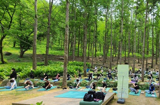 "술 말고 '숲'이 대세" 에버랜드 포레스트 방문객 전년比 7배↑