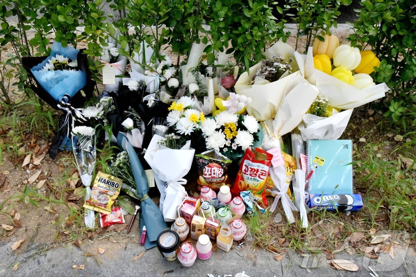 본문 이미지 - 28일 오후 전남 순천시 조례동 한 도로변 화단에서 '10대 여성 살인사건' 피해자를 추모하기 위한 발길이 이어지고 있다.2024.9.28/뉴스1 ⓒ News1 김동수 기자