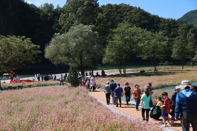 30도 육박 '막바지 더위'…10도 이상 '큰 일교차' 주의[오늘날씨]