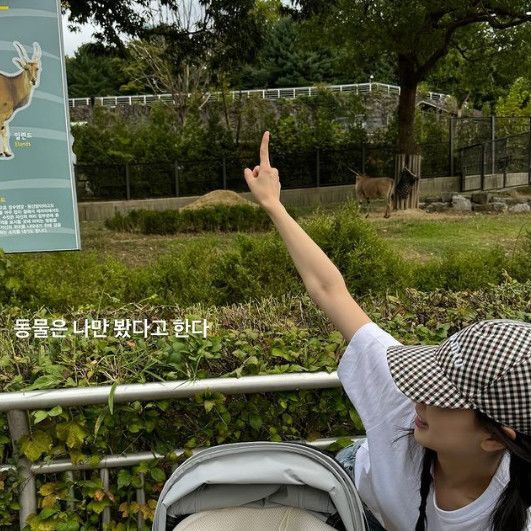 손연재, '7개월' 아들 열혈 육아…"동물은 나만 봤네" [N샷]