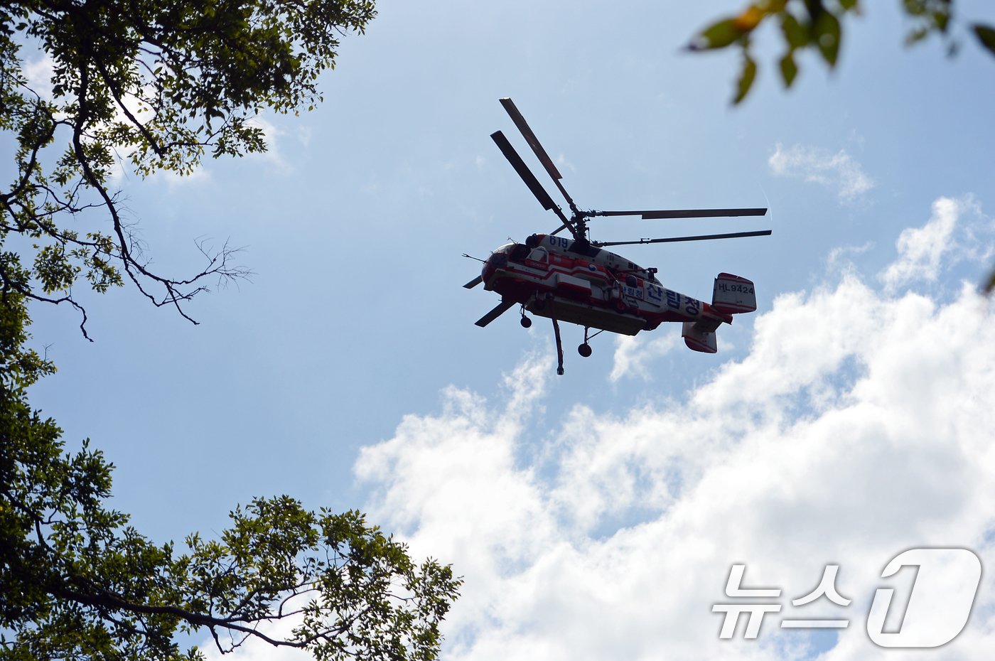 29일 광주 무등산 증심사 일대에서 헬기가 화재를 진압하기 위해 현장에 투입되고 있다. 증심사 공양간에서는 이날 오전 용접 작업 중 불꽃이 튀면서 화재가 발생했다. 2024.9.29/뉴스1 ⓒ News1 이승현 기자