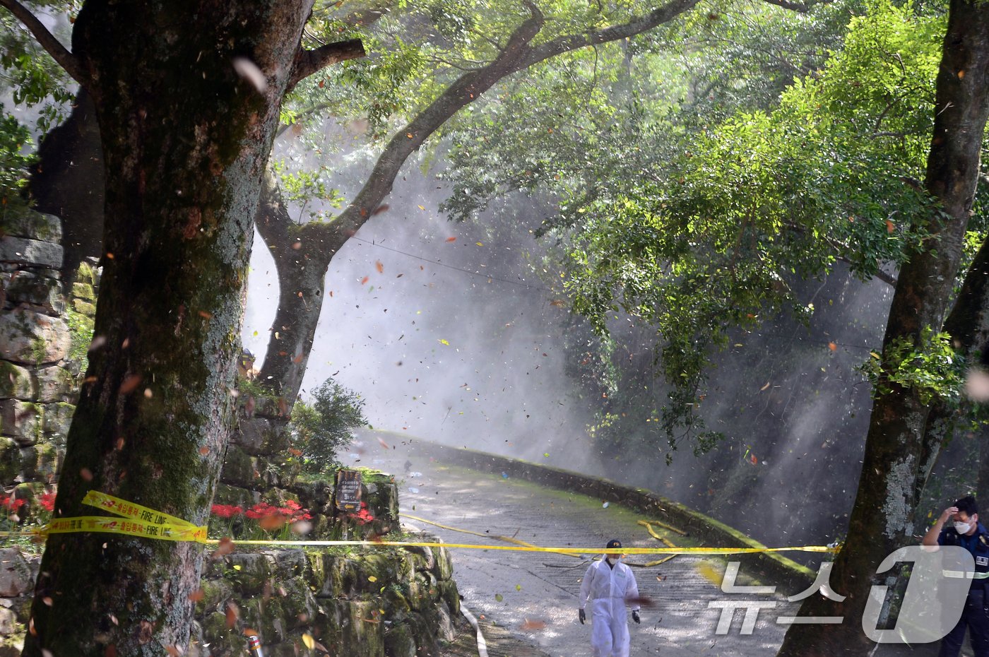 본문 이미지 - 29일 광주 무등산 증심사 일대에서 헬기가 화재를 진압하기 위해 현장에 투입돼 바람이 일고 있다. 증심사 공양간에서는 이날 오전 용접 작업 중 불꽃이 튀면서 화재가 발생했다. 2024.9.29/뉴스1 ⓒ News1 이승현 기자