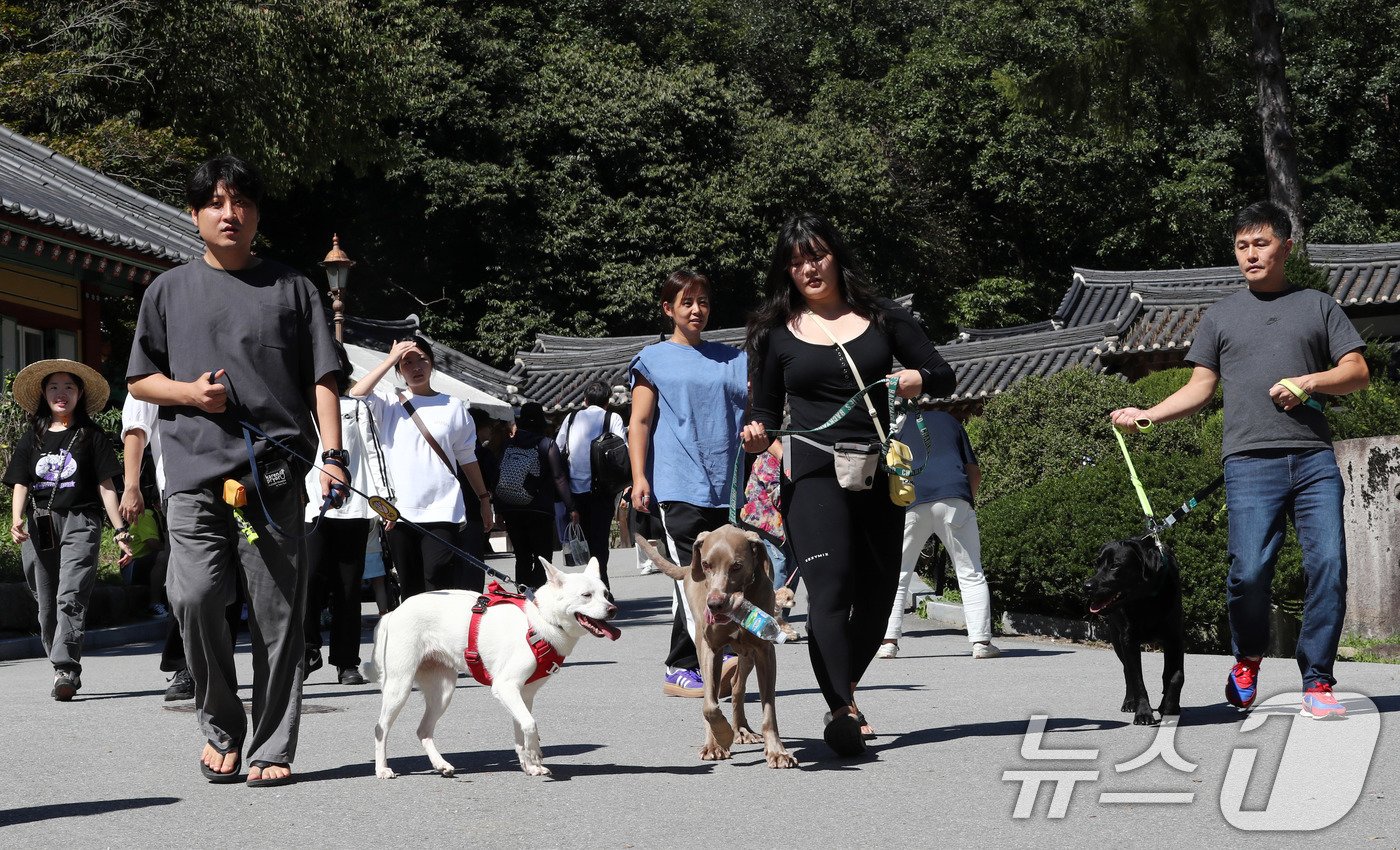 29일 경기도 남양주시 봉선사에서 열린 반려견과 함께하는 선명상 축제를 찾은 반려인과 반려견이 걷기명상을 하고 있다. 2024.9.29/뉴스1 ⓒ News1 박세연 기자