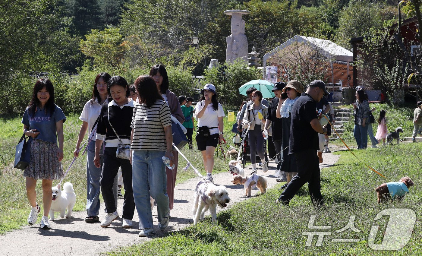 29일 경기도 남양주시 봉선사에서 열린 반려견과 함께하는 선명상 축제를 찾은 반려인과 반려견이 걷기명상을 하고 있다. 2024.9.29/뉴스1 ⓒ News1 박세연 기자