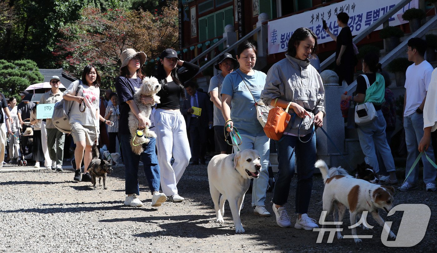 본문 이미지 - 29일 경기 남양주시 봉선사에서 열린 반려견과 함께하는 선명상 축제를 찾은 반려인과 반려견이 걷기명상을 하고 있다. 2024.9.29/뉴스1 ⓒ News1 박세연 기자