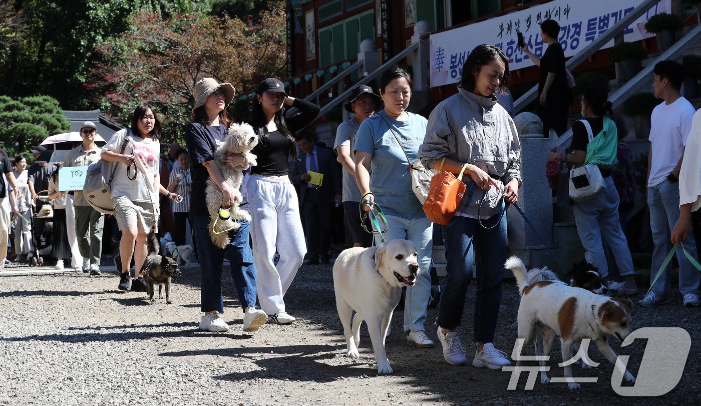 29일 경기 남양주시 봉선사에서 열린 반려견과 함께하는 선명상 축제를 찾은 반려인과 반려견이 걷기명상을 하고 있다. 2024.9.29/뉴스1 ⓒ News1 박세연 기자