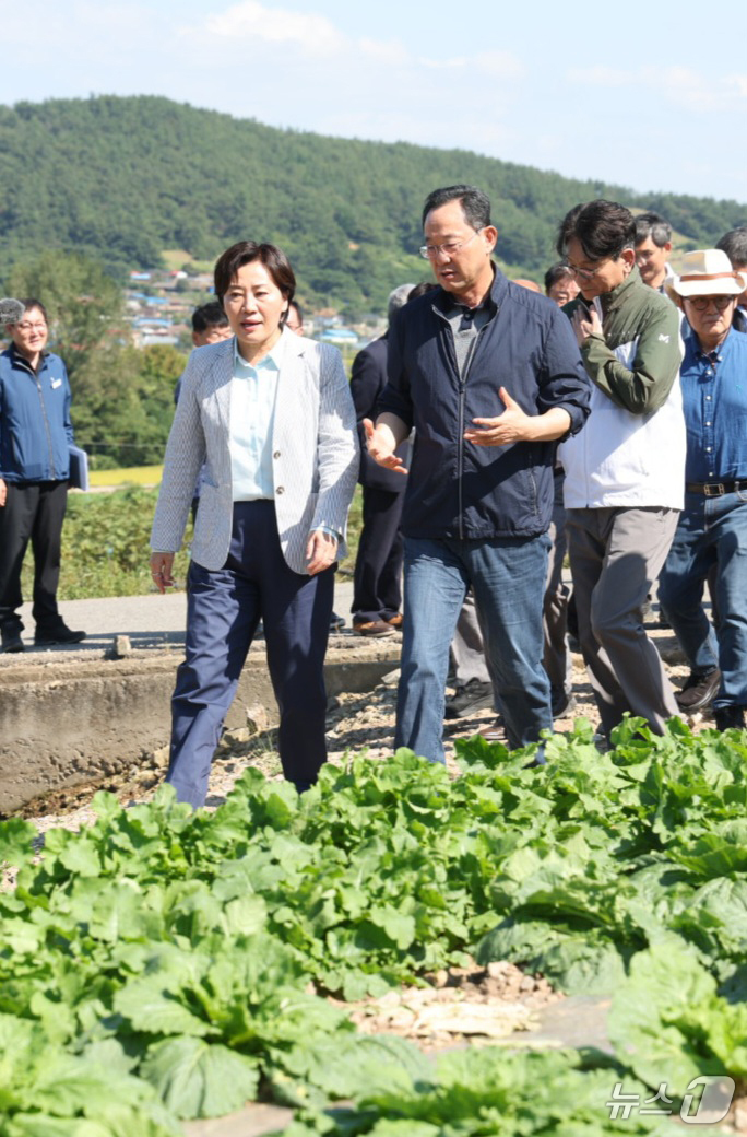 (서울=뉴스1) 송원영 기자 = 송미령 농림축산식품부 장관이 29일 전남 해남군 일원의 배추 밭을 찾아 호우 피해상황과 김장배추 작황 상태를 점검하고 있다. (농림축산식품부 제공) …