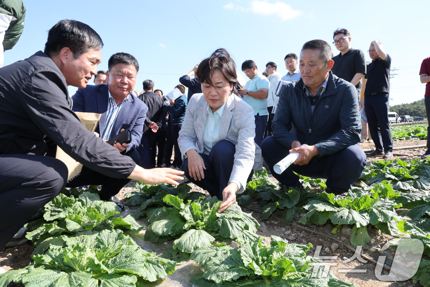 (서울=뉴스1) 송원영 기자 = 송미령 농림축산식품부 장관이 29일 전남 해남군 일원의 배추 밭을 찾아 호우 피해상황과 김장배추 작황 상태를 점검하고 있다. (농림축산식품부 제공) …