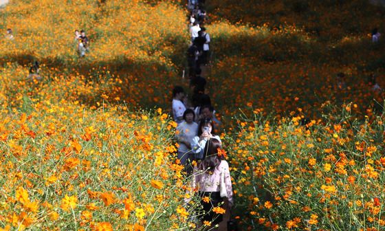 "출근길 가벼운 겉옷 챙기세요"…낮에는 30도 육박 '늦더위'[오늘날씨]