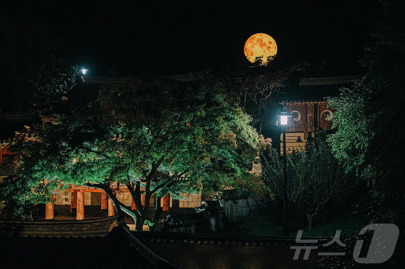 본문 이미지 - 도산서원 야간 전경&#40;안동시 제공&#41;2024.9.3/뉴스1