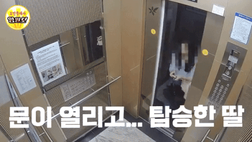 (JTBC '사건반장')