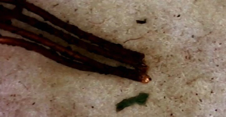 본문 이미지 - 선풍기 전선의 단락흔. &#40;JTBC &#39;사건반장&#39;&#41;