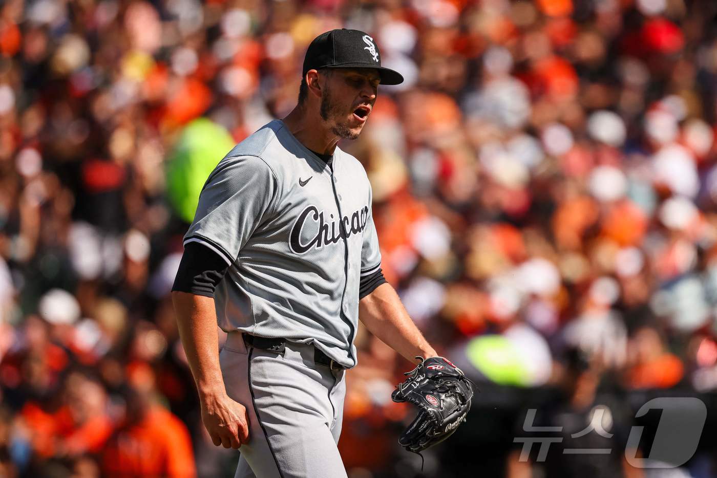 본문 이미지 - 시카고 화이트삭스 크리스 플렉센. ⓒ AFP=뉴스1