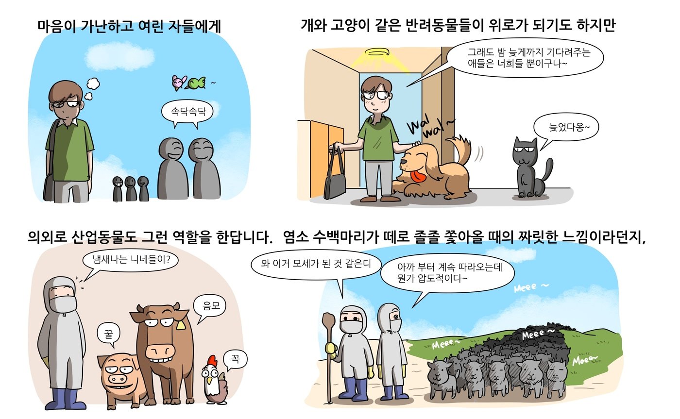 베토리&#40;정철 수의사 제공&#41; ⓒ 뉴스1