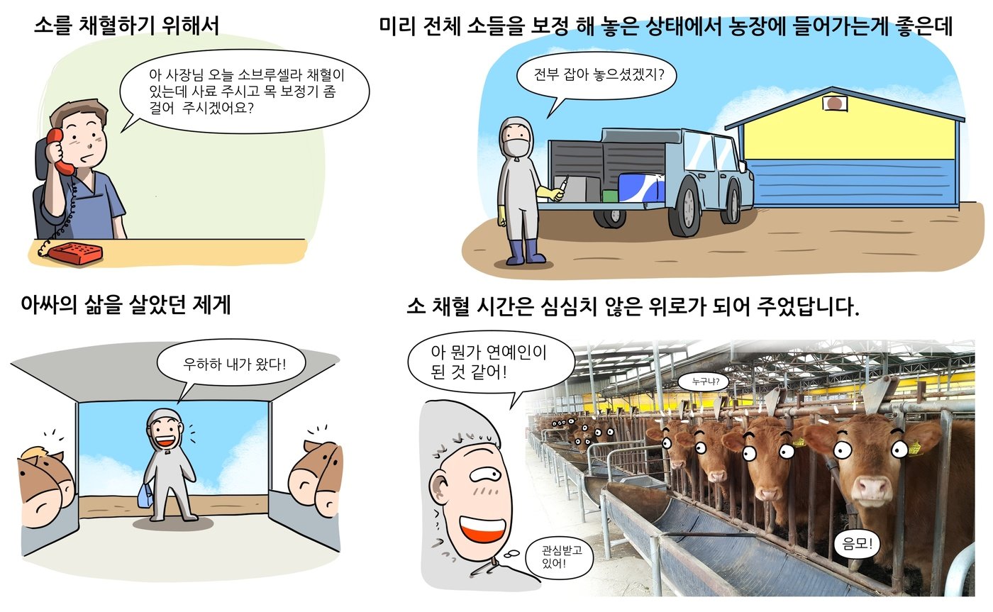 베토리&#40;정철 수의사 제공&#41; ⓒ 뉴스1