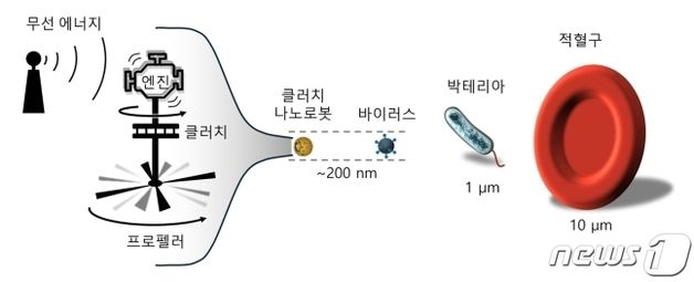 몸속 돌며 암 세포만 공격…'나노로봇' 의사 성큼[미래on]