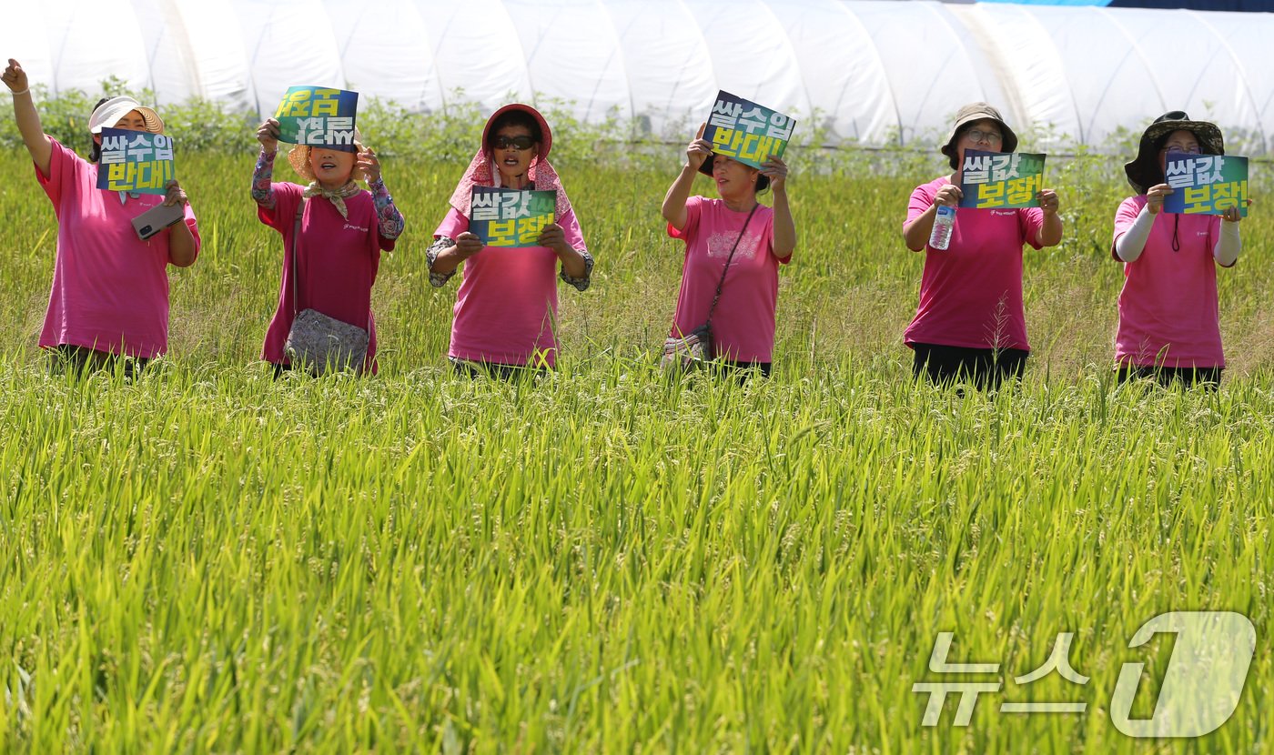 본문 이미지 - 4일 충남 부여 군수리 일대 논에서 부여군농업인단체협의회 구성원들이 농민대회를 열고 쌀값 폭락 대책을 촉구하며 트랙터로 벼를 갈아엎고 있다. 2024.9.4/뉴스1 ⓒ News1 김기태 기자