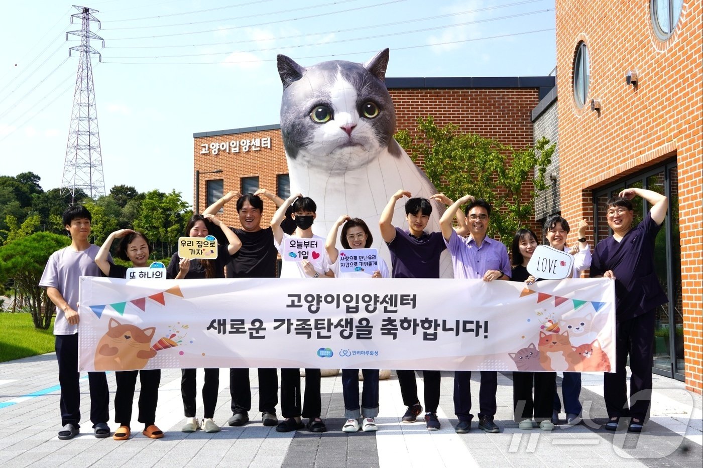 본문 이미지 - 화성 반려마루 고양이입양센터 개관 4개월 만에 50마리의 고양이가 입양을 갔다(경기도 제공). ⓒ 뉴스1