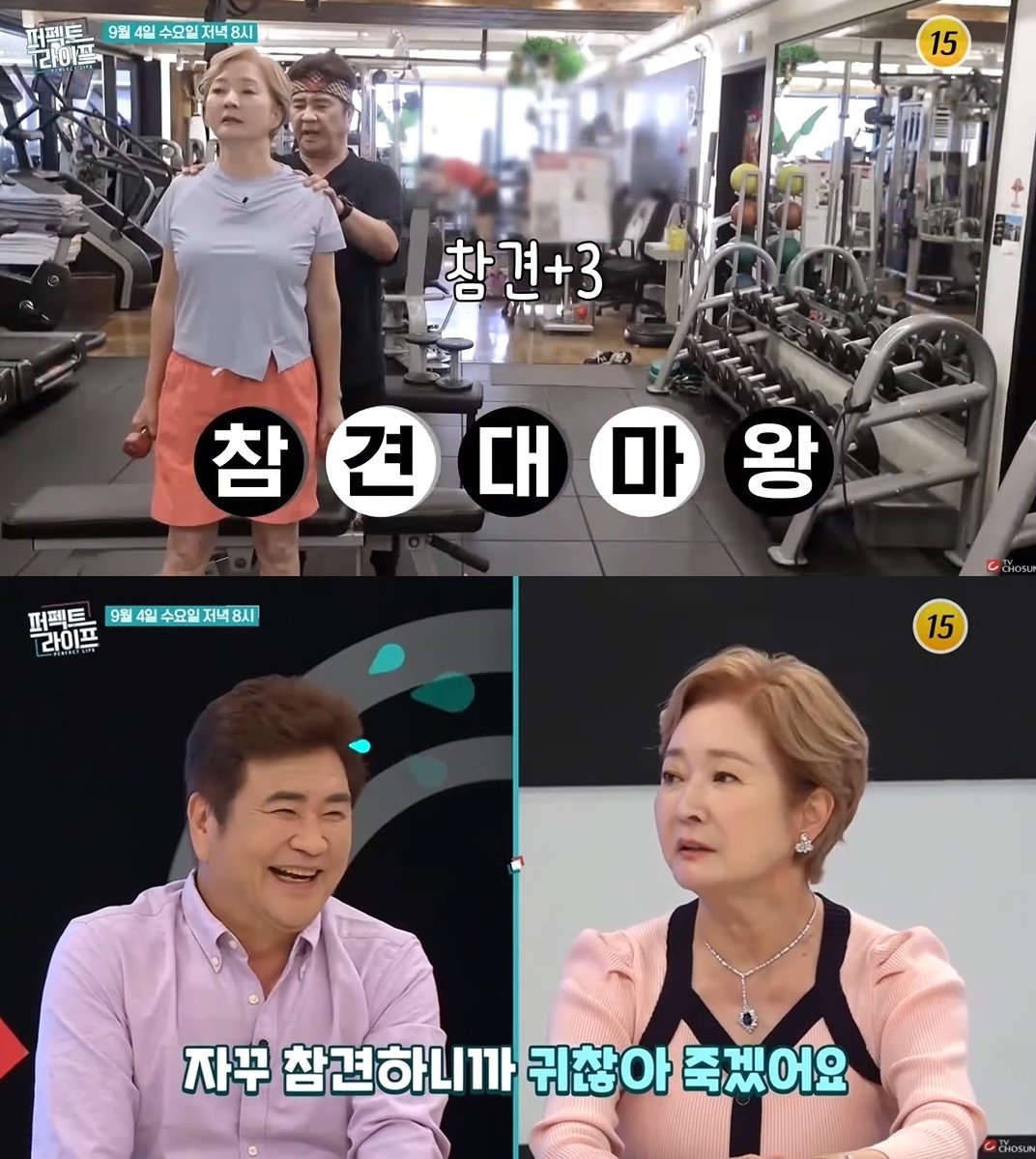 본문 이미지 - (TV조선 '퍼펙트라이프')