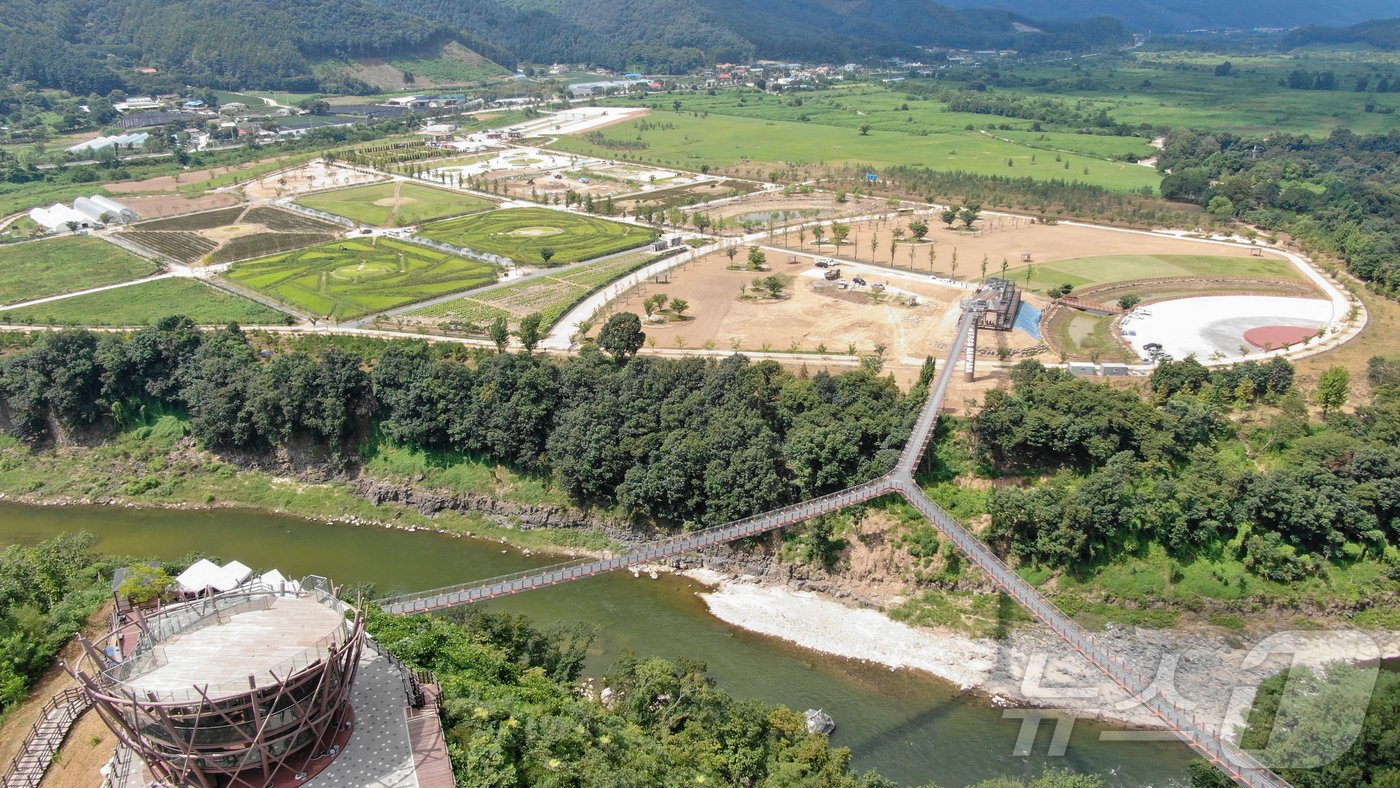 본문 이미지 - 포천시 한탄강 Y자형 출렁다리.