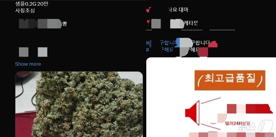 본문 이미지 - 사회관계망서비스(SNS) '엑스'(옛 트위터)에서 마약을 뜻하는 은어를 검색한 결과 화면 갈무리.ⓒ 뉴스1