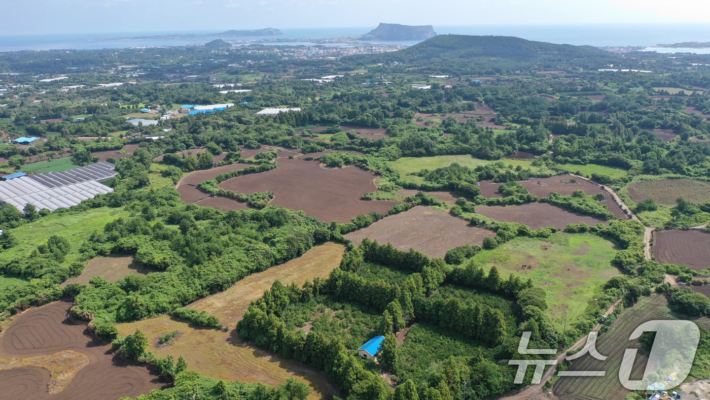 국토교통부는 6일 &#39;제주 제2공항 건설사업 기본계획&#39;을 고시한다고 5일 밝혔다. 제주 제2공항 건설사업의 &#39;밑그림&#39;이 나온 건 지난 2015년 11월 공항건설 입지를 발표한 이후 약 9년 만이다. 이번 제2공항은 서귀포시 성산읍 일대 약 551만㎡&#40;약 166만평&#41; 부지에 조성된다. 사진은 제2공항 예정 부지인 서귀포시 성산읍 일대를 드론 촬영한 모습. 2024.9.5/뉴스1 ⓒ News1 고동명 기자