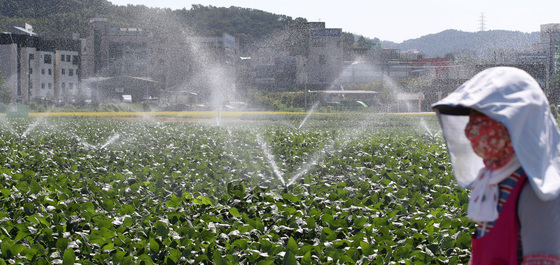 [오늘의 날씨] 전남광주(5일, 토)…30도 안팎 늦더위 계속