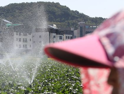 [오늘의 날씨] 충북·세종(9일, 월)…낮 최고 31~33도, 폭염 지속