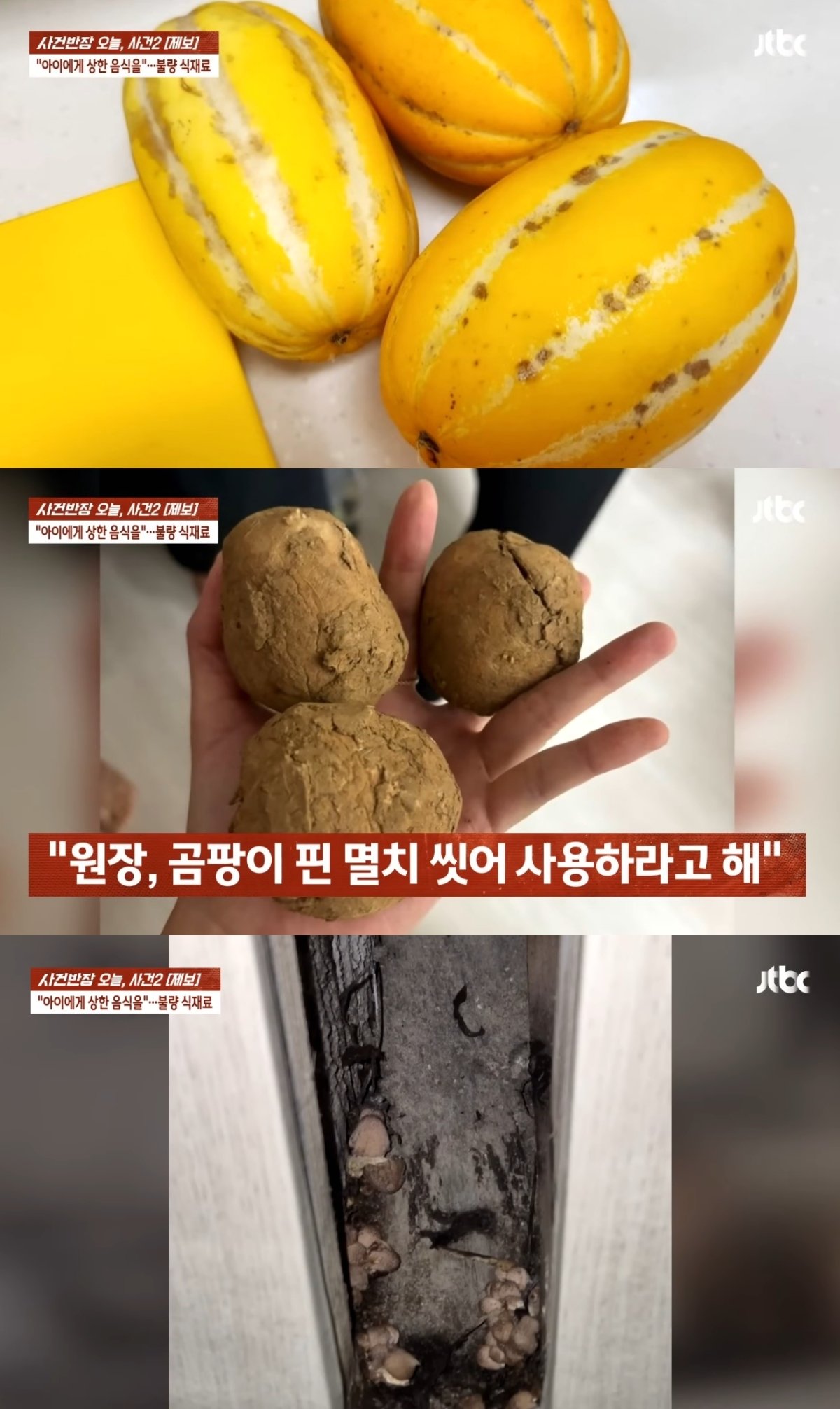 본문 이미지 - (JTBC '사건반장')