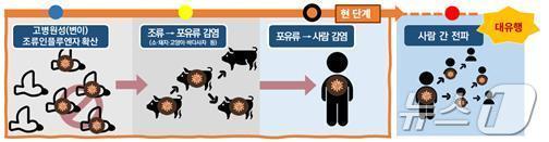 본문 이미지 - 질병관리청 제공