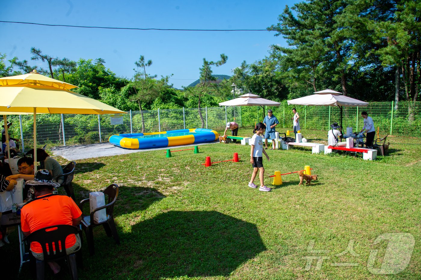 본문 이미지 - 제천 '명월이네' 반려견 쉼터.2024.9.6/뉴스1