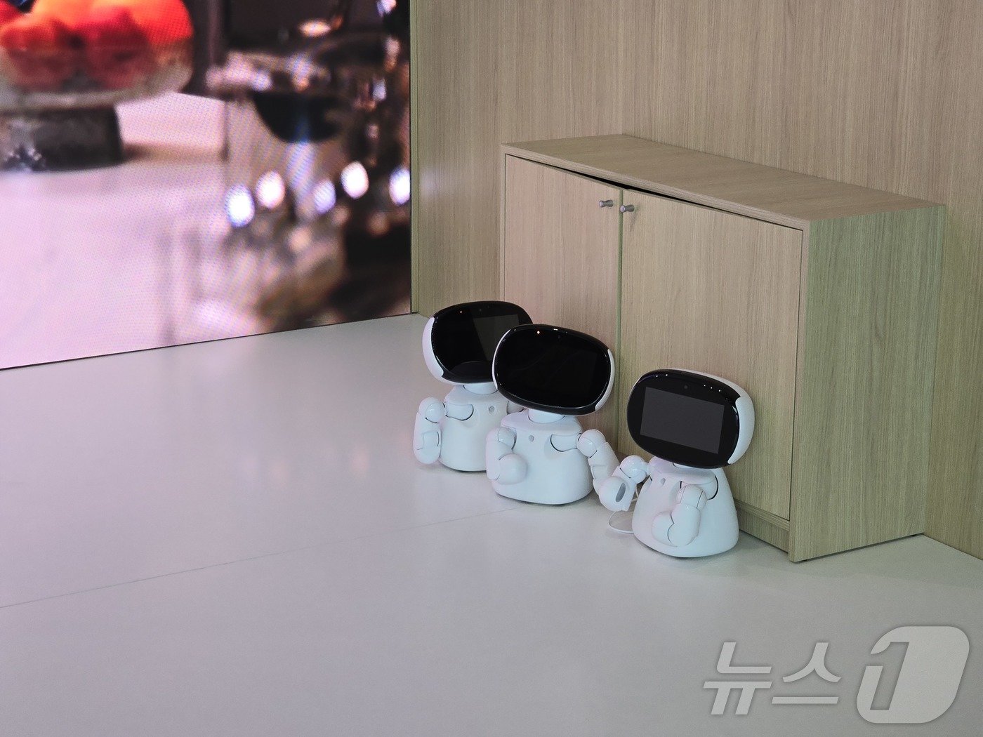 본문 이미지 - 유럽 최대 가전 전시회 &#39;IFA 2024&#39;에 전시된 하이센스의 로봇 비서 할리&#40;harley&#41;. 2024. 9. 6/뉴스1 ⓒ News1 한재준 기자