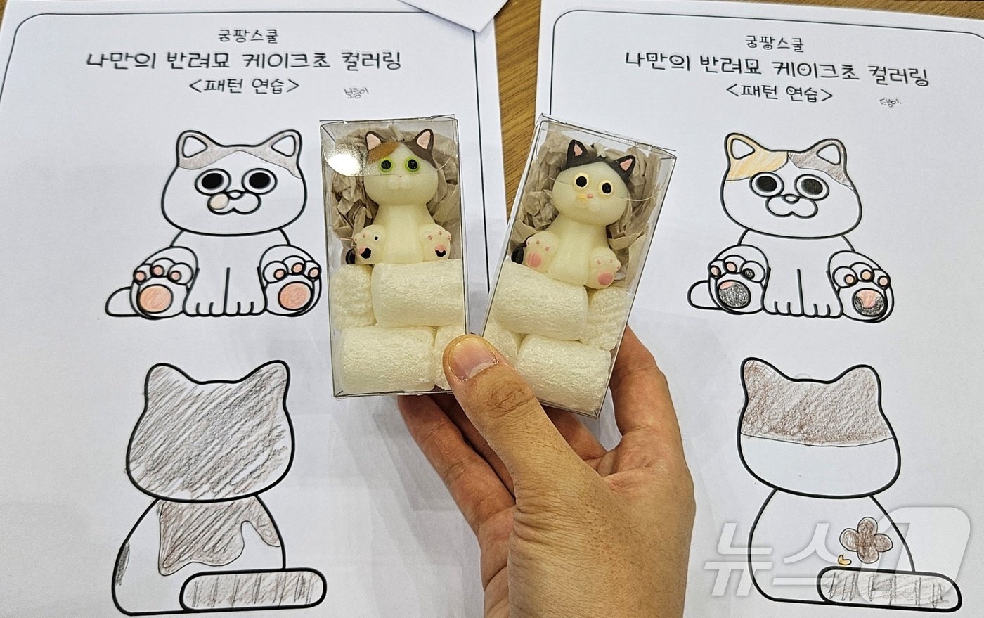 본문 이미지 - 6일 경기 고양시 킨텍스에서 열린 고양이 전문 박람회 '궁디팡팡 캣페스타' 참석자가 '반려묘 케이크 초'를 소개하고 있다. ⓒ 뉴스1 최서윤 기자