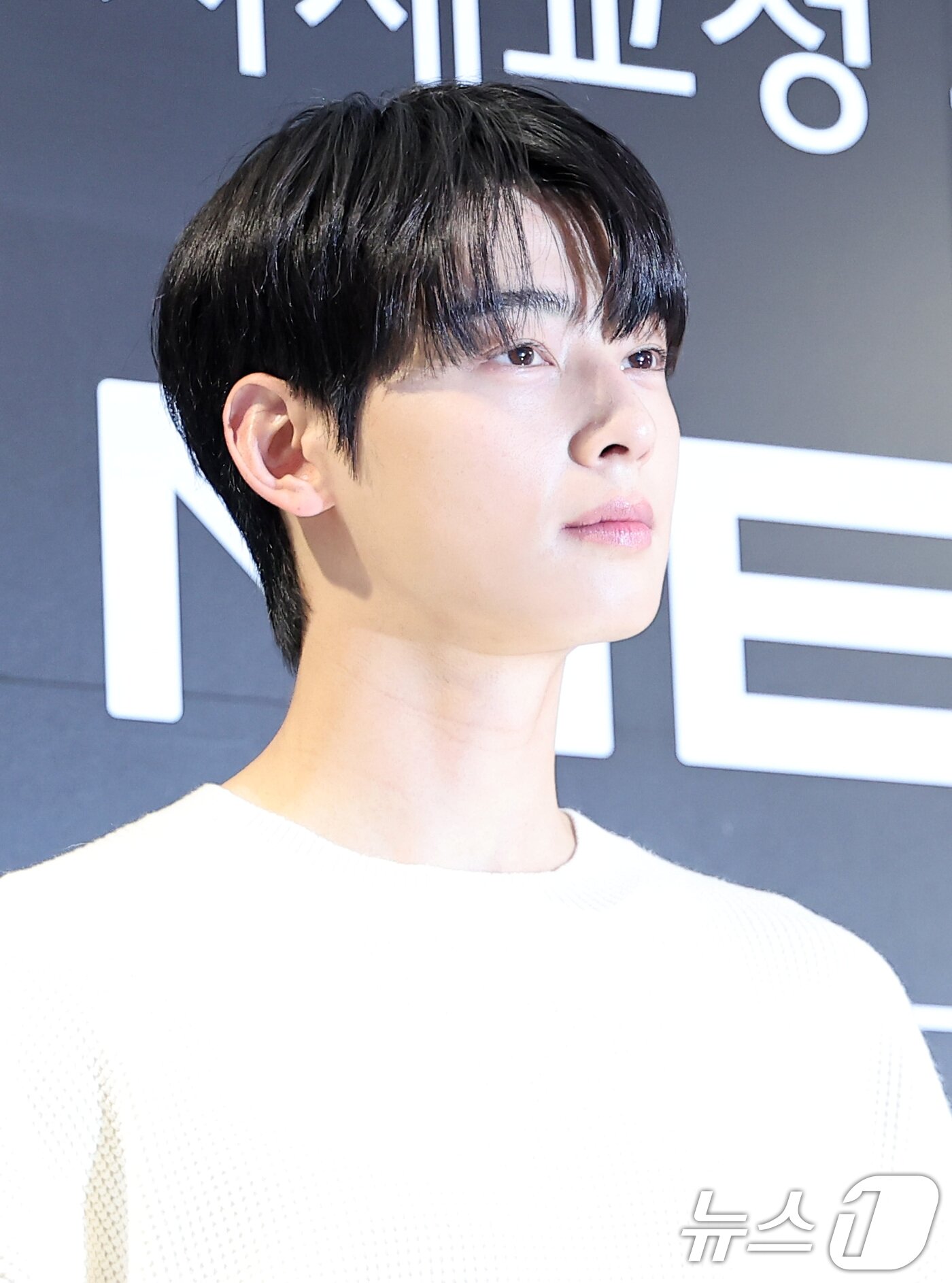 본문 이미지 - 가수 겸 배우 차은우 ⓒ 뉴스1 김성진 기자