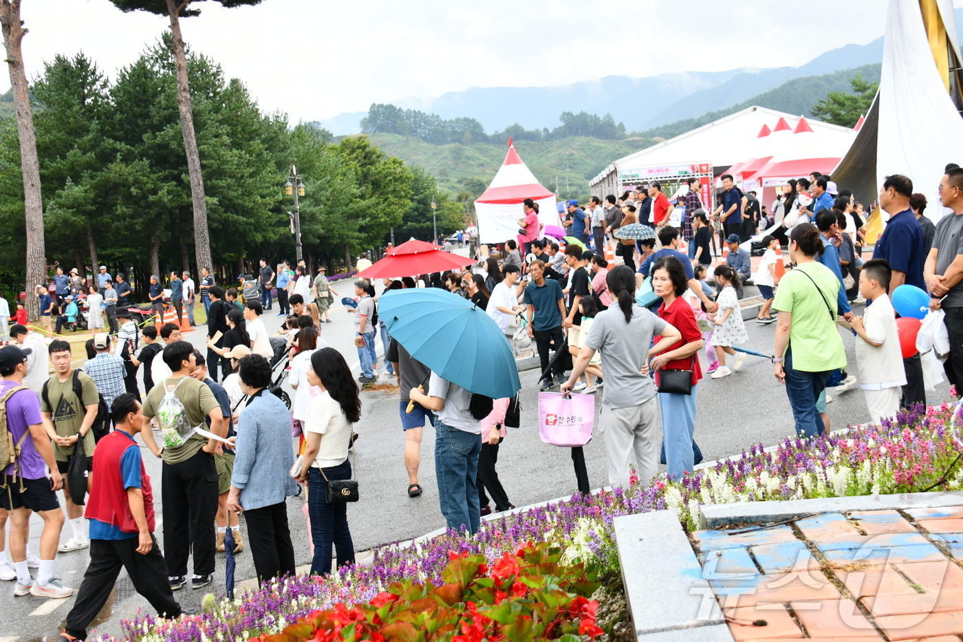 7일 장수 레드푸드 페스티벌 축제 모습. &#39;빨간 맛으로의 초대&#39;를 주제로 펼쳐지는 축제는 오는 8일까지 이어진다. &#40;장수군 제공&#41; 2024.9.7/뉴스